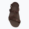 Мъжки сандали barefoot Xero Shoes Z-Trek brown 5