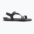 Мъжки сандали за боси крака Xero Shoes Z-Trail EV steel gray/asphalt