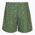 Мъжки панталони за трекинг Royal Robbins All-In algae flash pt 2