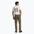 Мъжки панталони Royal Robbins Wilder everglade 3