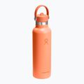 Термобутилка Hydro Flask Standard Flex Straw 620 ml nectar 2