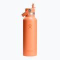 Термобутилка Hydro Flask Standard Flex Straw 620 ml nectar