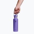 Термо бутилка Hydro Flask Standard Flex 621 ml utopia purple 3