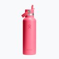 Термобутилка Hydro Flask Standard Flex 621 ml popstar pink