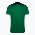 Мъжка футболна фланелка Joma Championship VI Green/Black 101822.451 7