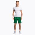Мъжки шорти за бягане Joma Record II green