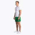 Мъжки шорти за бягане Joma Record II green 3