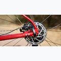 Планински велосипед Marin Bobcat Trail 3 29 gloss charcoal/red/black 6