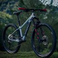 Детски велосипед Orbea Laufey 24 H20 сив N01624I9 2023 6