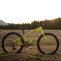 Детски велосипед Orbea MX20 Team жълт M00520I6 6