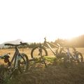 Детски велосипед Orbea MX20 Team жълт M00520I6 8