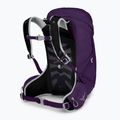 Дамска туристическа раница Osprey Tempest 22 l violac purple 2