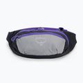 Osprey Daylite Waist 2L сиво-виолетова бъбрековидна торбичка 10004202 3