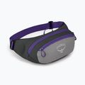 Osprey Daylite Waist 2L сиво-виолетова бъбрековидна торбичка 10004202 8