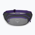 Osprey Daylite Waist 2L сиво-виолетова бъбрековидна торбичка 10004202 9