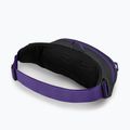 Osprey Daylite Waist 2L сиво-виолетова бъбрековидна торбичка 10004202 10