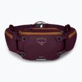 Чантичка за кръста за колоезденед Osprey Savu 5 aprium purple