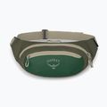 Чантичка за кръста Osprey Daylite Waist green canopy/green creek