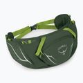 Osprey Duro Dyna 2 л зелени водорасли/лимон бъбрек 2