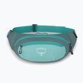 Чантичка за кръста Osprey Daylite Waist jetstream blue/cascade blue