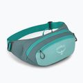 Чантичка за кръста Osprey Daylite Waist jetstream blue/cascade blue 2