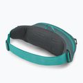 Чантичка за кръста Osprey Daylite Waist jetstream blue/cascade blue 3