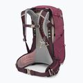 Osprey Sirrus 24 l дамска туристическа раница бъз лилаво / chiru tan 2
