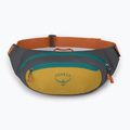 Чантичка за кръста Osprey Daylite Waist 2 l tumbleweed yellow/tunnel vision