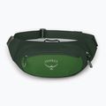 Чантичка за кръста Osprey Daylite Waist 2 l green bely/green canopy