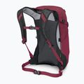Osprey Hikelite 18 l туристическа раница хамелеон / черна 3