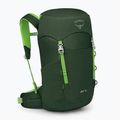 Детска туристическа раница Osprey Jet 18 l green canopy/ limeline green 3