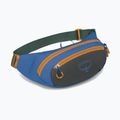 Osprey Daylite Waist Earth 2 л тъмен въглен/син пламък бъбрек 2