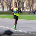 Мъжка тениска за бягане Joma Elite XI fluor жълто/черно 5