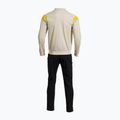 Мъжки спортен костюм Joma Montreal beige/black 2