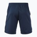 Мъжки шорти Joma Terra dark navy/royal 2