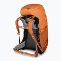 Детска раница за трекинг Osprey Ace 38 l orange sunset 6