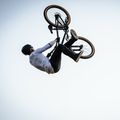 Kellys Whip 30 dirt bike сив/черен 76398 7