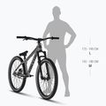 Дърт велосипед Kellys Whip 10 DX 26“ frosted green 3