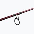 Delphin Etna E3 Корк 3 сек 101000282 7