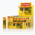Nutrend FatDirect предтренировъчни шотове 20X60ml VT-084-1200-XX 2