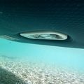 JOBE SUP дъска E-Duna Elite 11'6" Пакет тъмносин 488823001 18