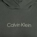 Мъжки Calvin Klein Hoodie LLZ urban classic суитшърт 7