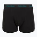 Мъжки боксерки Calvin Klein 0000U2662G Trunk 3 чифта black bodies and wbs with driftwood 2