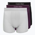 Мъжки боксерки Calvin Klein LV00NB4394 Brief black/harbor mist/dark purple w/ dt