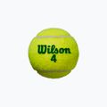 Детски топки за тенис Wilson Starter Play Green 4 бр. жълти WRT137400 3