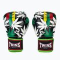 Боксови ръкавици Twins Special Fancy FBGVL3-54 Grass green/black
