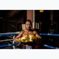 Боксови ръкавици Fairtex Universal „Tight-Fit“ Design Falcon gold 2