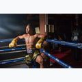 Боксови ръкавици Fairtex Universal „Tight-Fit“ Design Falcon gold 3