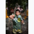 Боксови ръкавици Fairtex F-DAY Limited Edition pickle 5