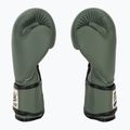 Боксови ръкавици Fairtex F-DAY Limited Edition pickle 4